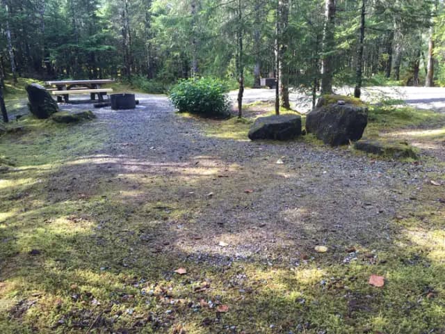 Site 019 at Mendenhall Campground