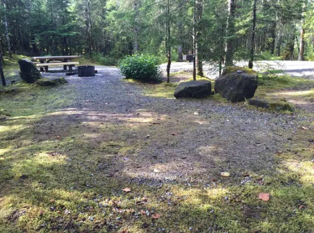 Site 020 at Mendenhall Campground
