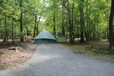 B Loop Site 50 Greenbelt Park Md campground (former Site 49)