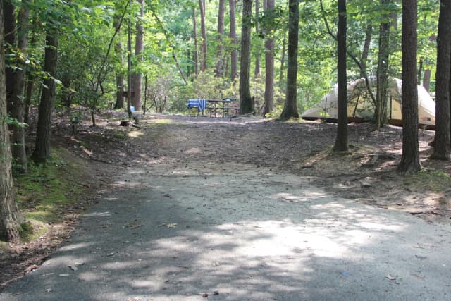 B Loop Site B 82 Greenbelt Park MD campground (Previously Site 83)