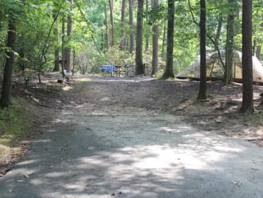 B Loop Site B 82 Greenbelt Park Maryland campground (Previously Site 83)