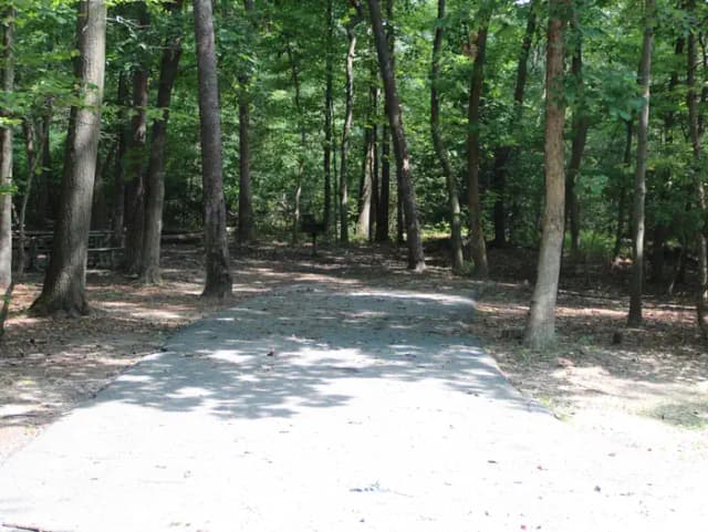 B Loop Site B 79 Greenbelt Park Maryland campground (Previously Site 80)
