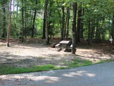 B Loop Site B 77 Greenbelt Park Maryland campground (Previously Site 78)