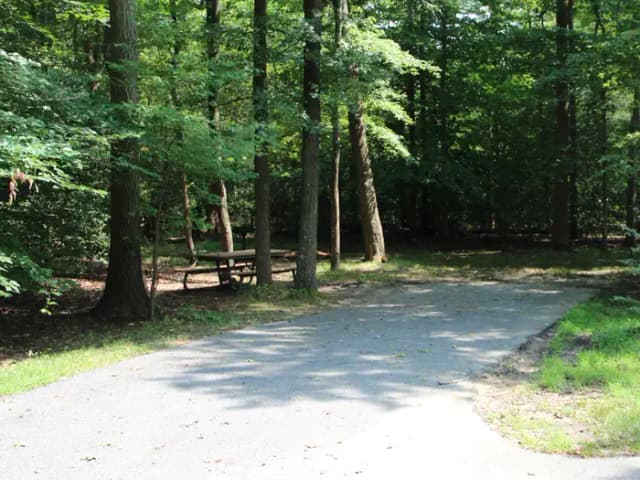 B Loop Site B 76 Greenbelt Park Maryland campground (Previously Site 77)