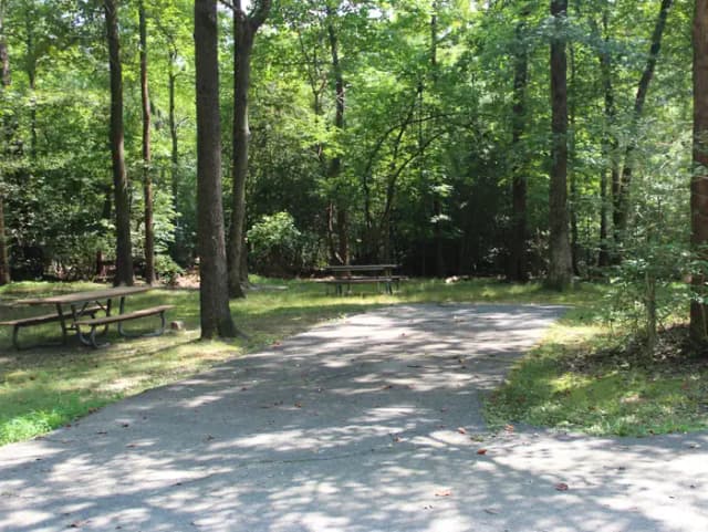 B Loop Site B 75 Greenbelt Park Maryland campground (Previously Site 76)