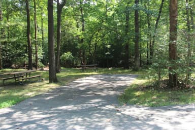 B Loop Site B 75 Greenbelt Park MD campground (Previously Site 76)