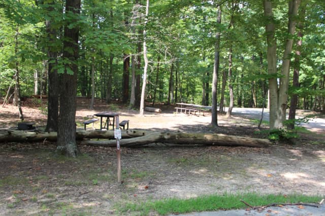 B Loop Site B 73 Greenbelt Park MD campground (Previously Site 74)
