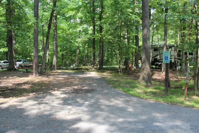 B Loop Site B 68 Greenbelt Park Maryland campground (Previously Site 69)