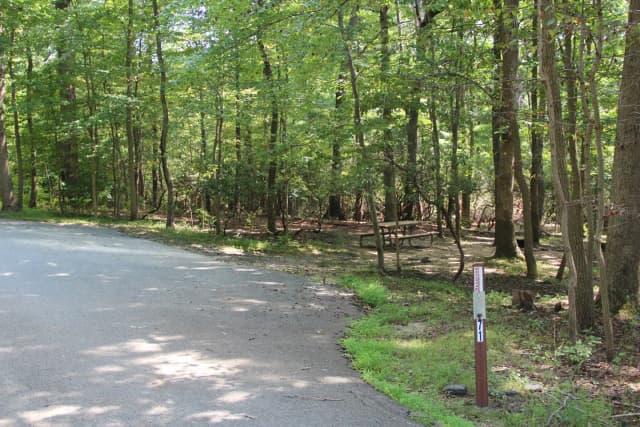 B Loop Site B 70 Greenbelt Park Maryland campground (Previously Site 71)