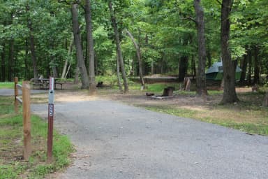 B Loop Site B 56 Greenbelt Park MD campground (Previously Site 55)