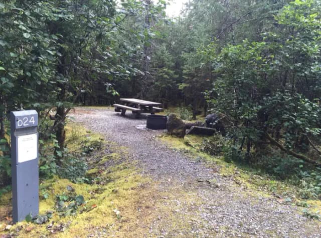 Site 024 at Mendenhall Campground