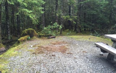 Site 024 at Mendenhall Campground