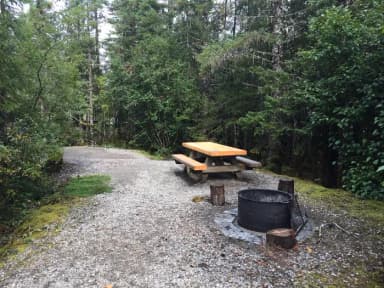 Site 028 at Mendenhall Campground