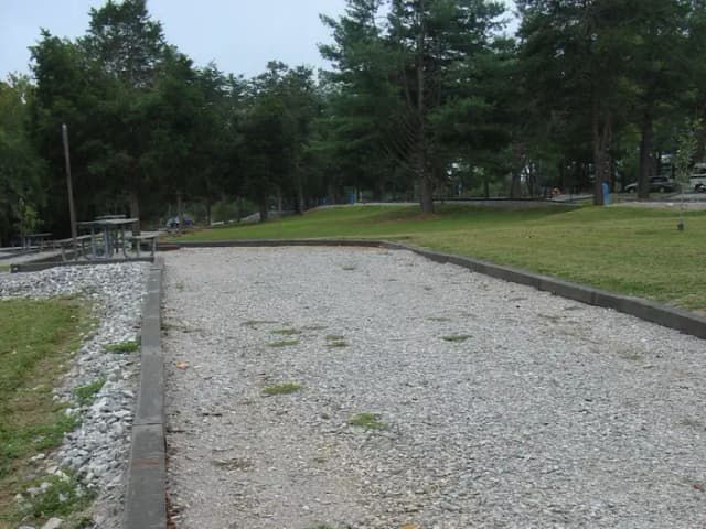 A010