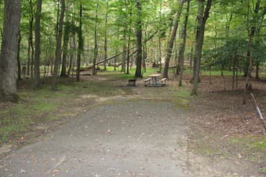 C93 C Loop of the Greenbelt Park Md campground