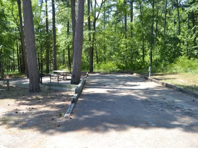 Jefferson Ridge Site 38