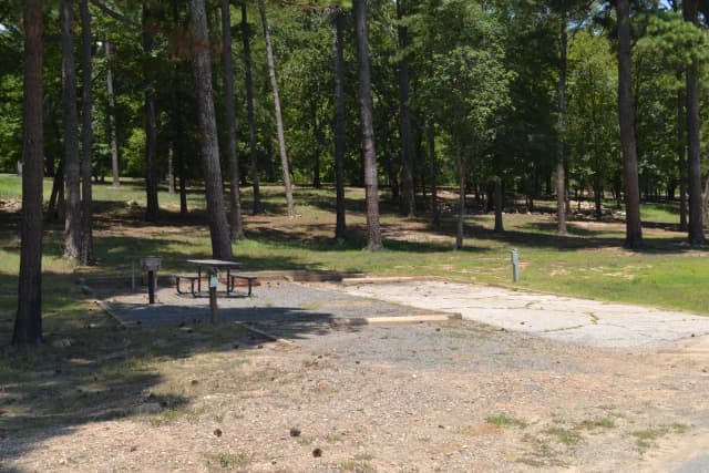 Jefferson Ridge Site 41
