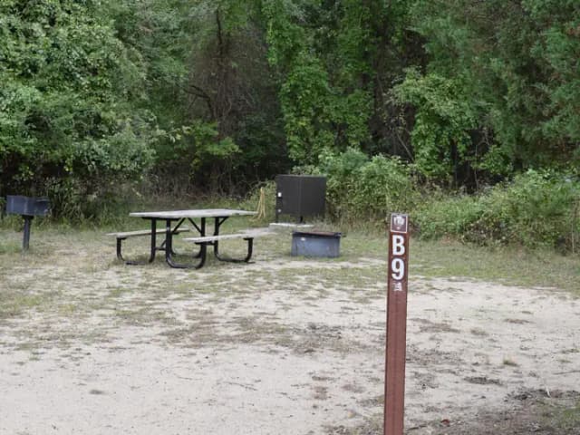 B9 site view