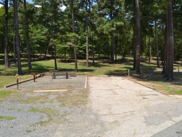 Jefferson Ridge Site 42