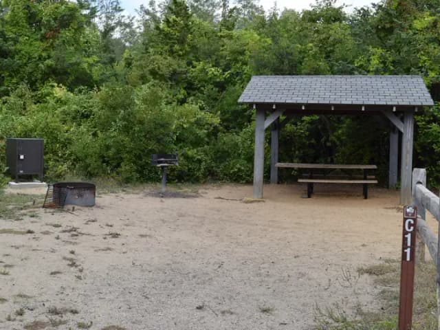 C11 site view