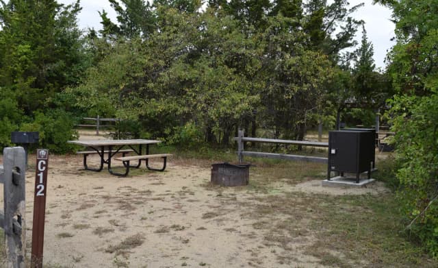 C12 site view