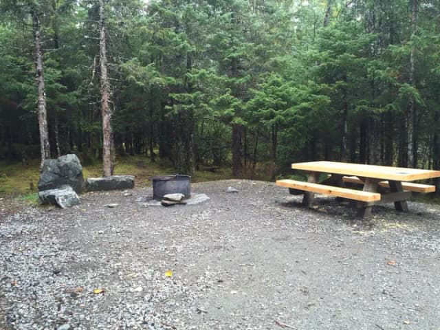 Site 034 at Mendenhall Campground