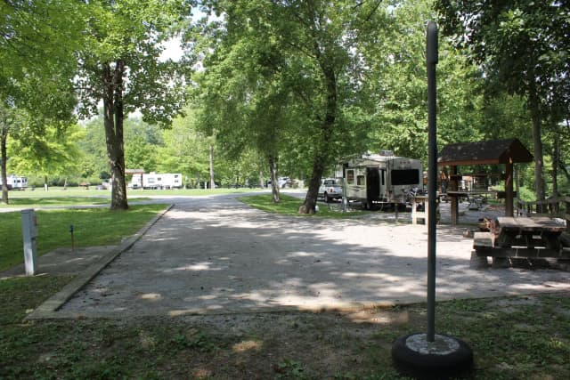 Site 12