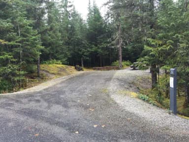 Site 036 at Mendenhall Campground