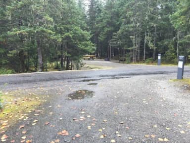 Site 037 at Mendenhall Campground