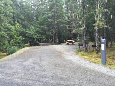 Site 038 at Mendenhall Campground