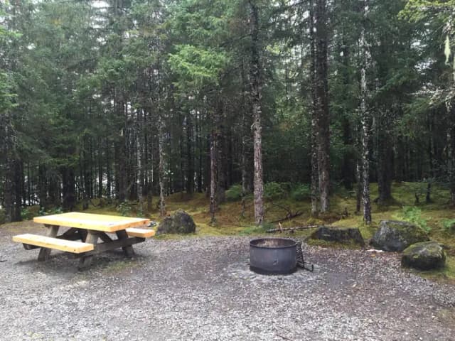 Site 038 at Mendenhall Campground