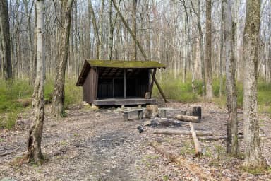 Three-sided wooden Adirondack shelter, 2 wooden benches and fire circle.  Surrounded by trees with no leaves.