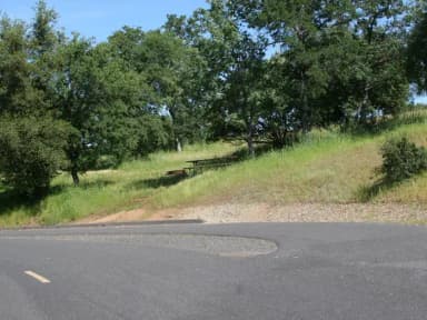 Acorn Sites 36-69 · Site 039 at Tuttletown Recreation Area
