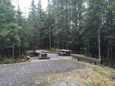 Site 041 at Mendenhall Campground