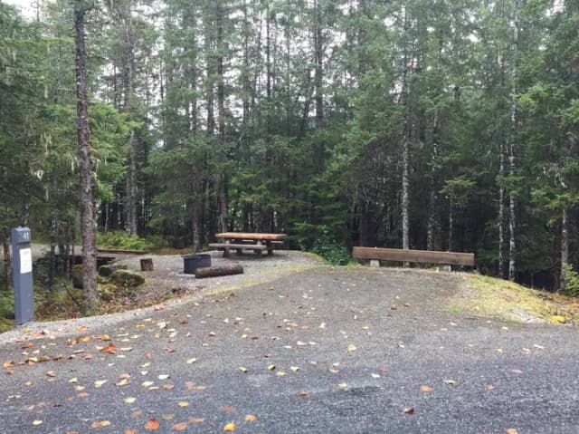 Site 041 at Mendenhall Campground