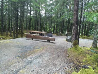 Site 043 at Mendenhall Campground