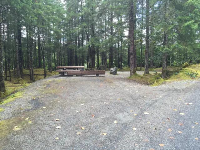 Site 043 at Mendenhall Campground