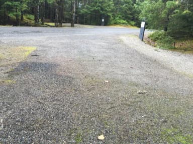 Site 046 at Mendenhall Campground