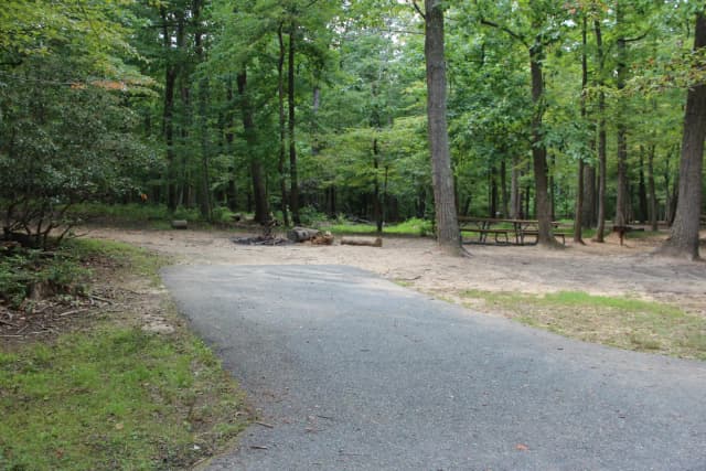Site A04 at Greenbelt Campground showing a closer view of the driveway in summer.