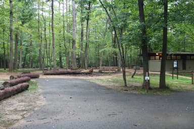 A wide shot of site A06 at Greenbelt Campground in summer.