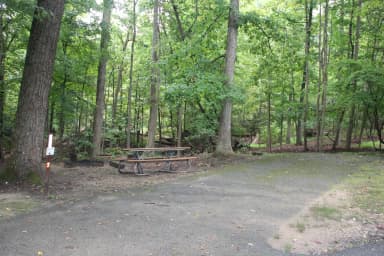 Loop A Site 07 Greenbelt Park Maryland campground