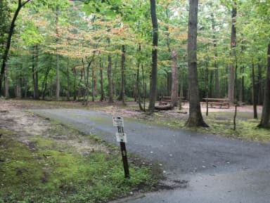 Greenbelt Park Campground Site 009