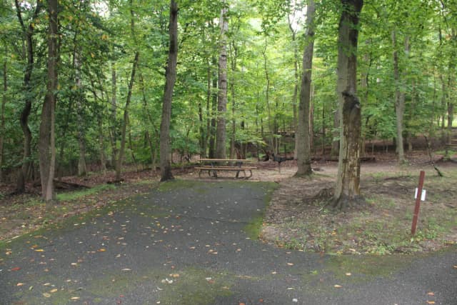 Greenbelt Park Campground Site 010