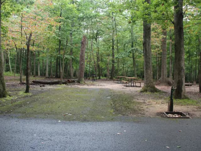 Greenbelt Park Campground Site 011