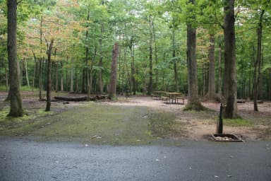 Greenbelt Park Campground Site 011