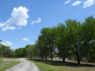 Primitive Group Camp in Turkey Point Park