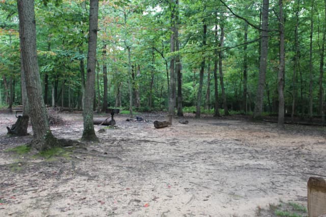 Greenbelt Park Campground Site 012