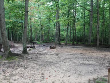 Greenbelt Park Campground Site 012