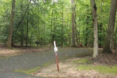 Greenbelt Park Campground Site 013