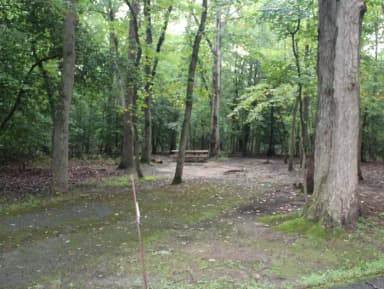 A15  A Loop of the Greenbelt Park Maryland campground